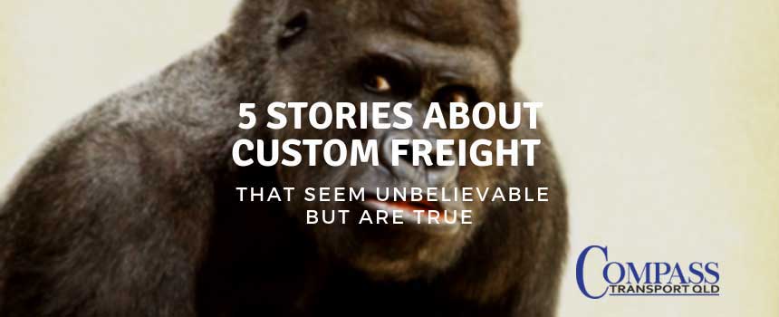 5 Stories About Custom Freight that Seem Unbelievable But are True